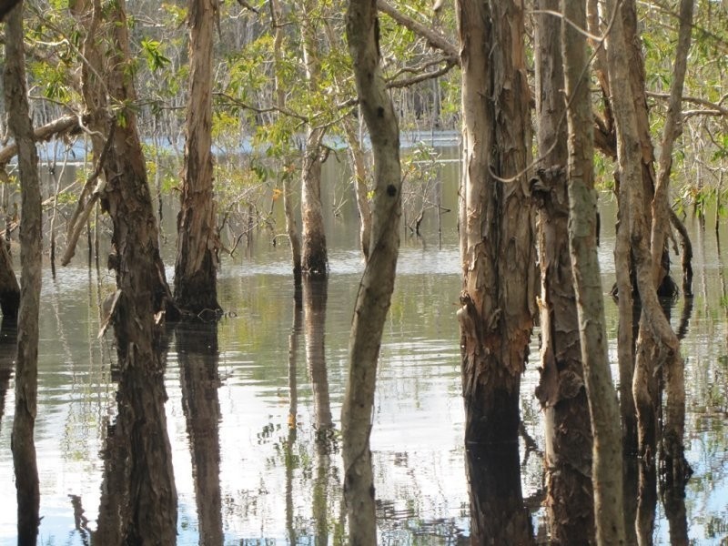 44014 Bruce Highway, Miriam Vale QLD 4677