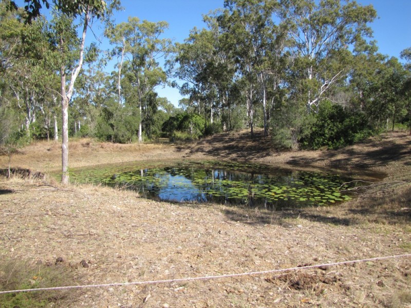 275 Darts Creek Road, Ambrose QLD 4695