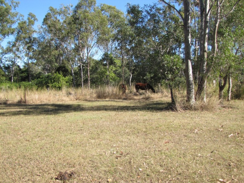 275 Darts Creek Road, Ambrose QLD 4695