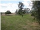 1443 Mount Larcom Bracewell Rd, Mount Larcom QLD 4695