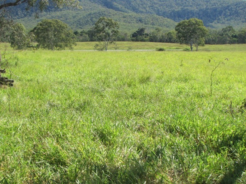 540 Lowmead Road, Miriam Vale QLD 4677