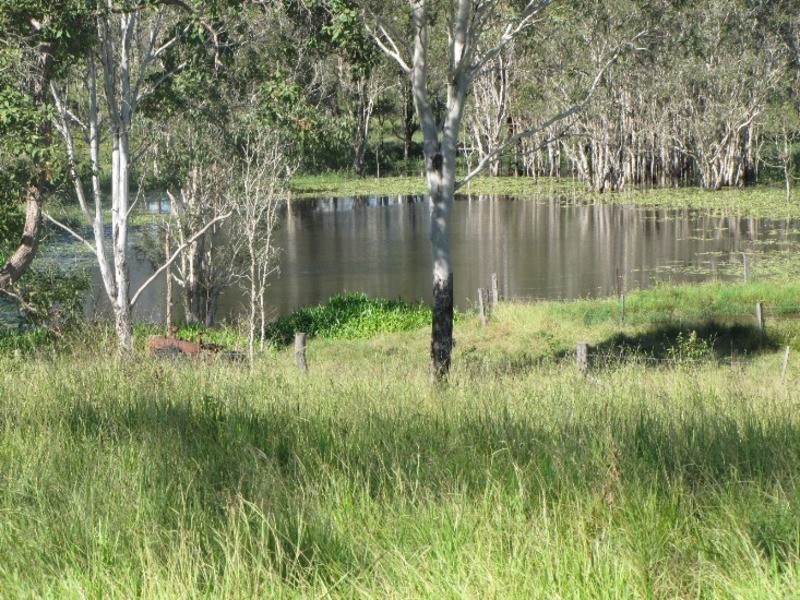 540 Lowmead Road, Miriam Vale QLD 4677