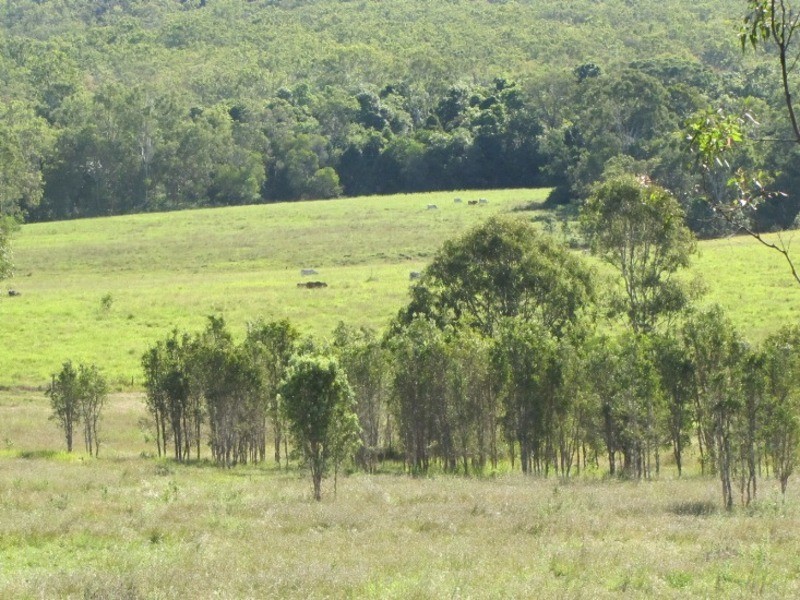 540 Lowmead Road, Miriam Vale QLD 4677