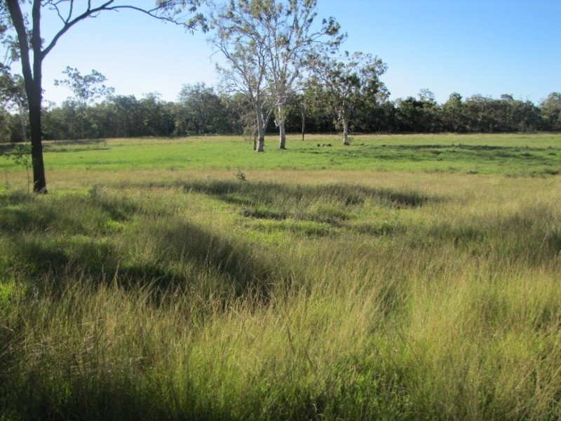 Lot 301 Lowmead Road, Miriam Vale QLD 4677