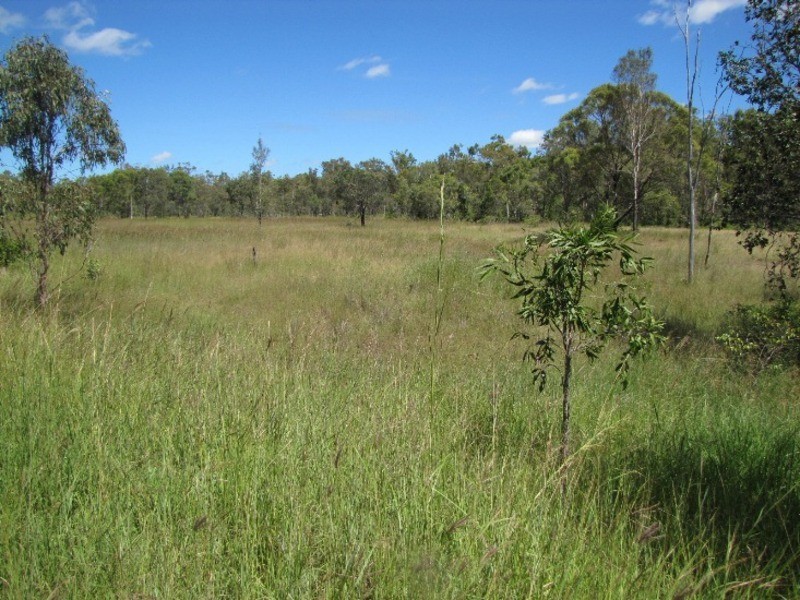 44 Langmorn Road, Mount Larcom QLD 4695