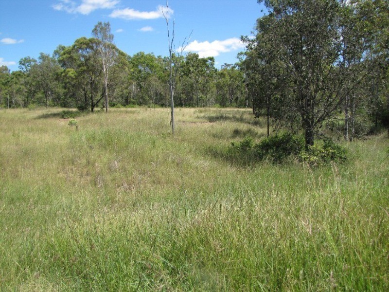 44 Langmorn Road, Mount Larcom QLD 4695