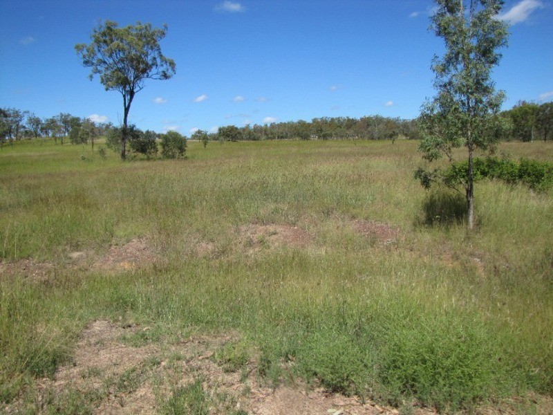 44 Langmorn Road, Mount Larcom QLD 4695