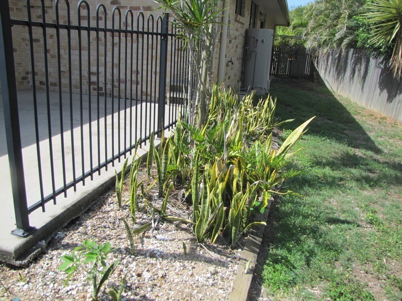 16 Melbourne Court, Calliope QLD 4680
