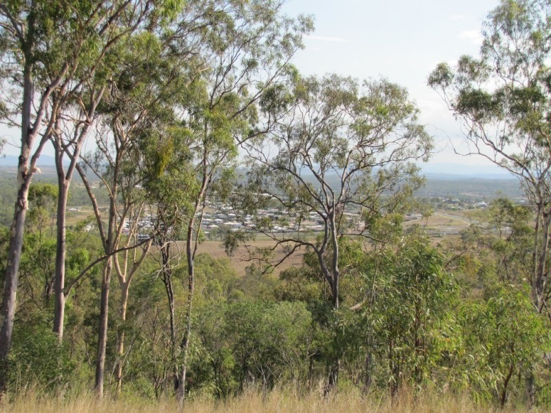 00 Off Farmer & Sweeney Sts, Calliope QLD 4680