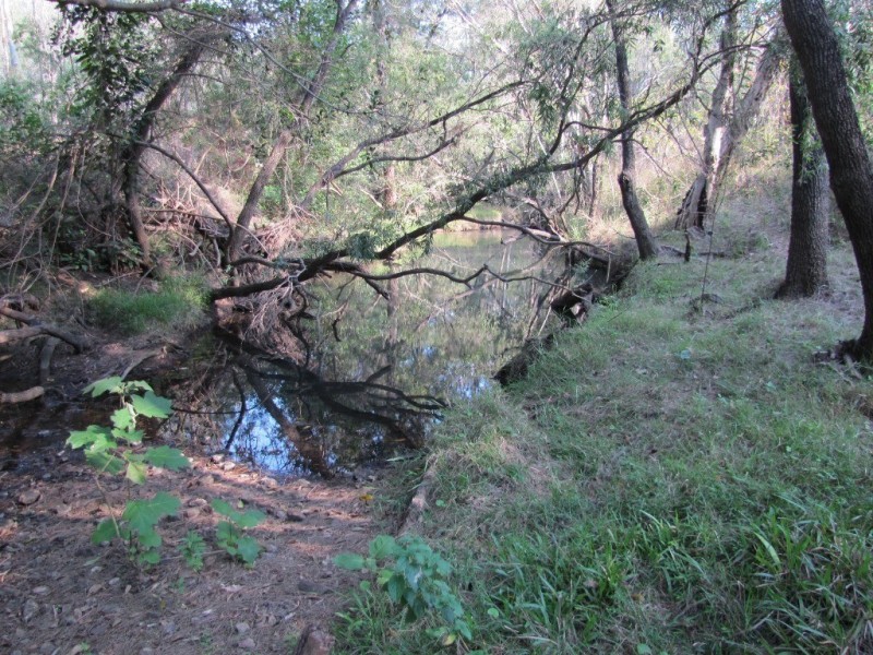 00 Off Farmer & Sweeney Sts, Calliope QLD 4680