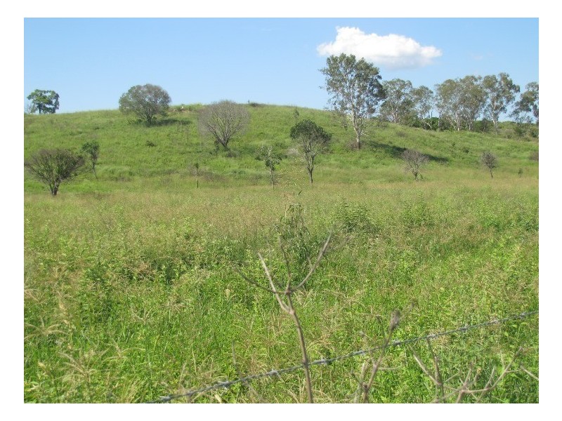 110 Aplin Road, Bracewell QLD 4695