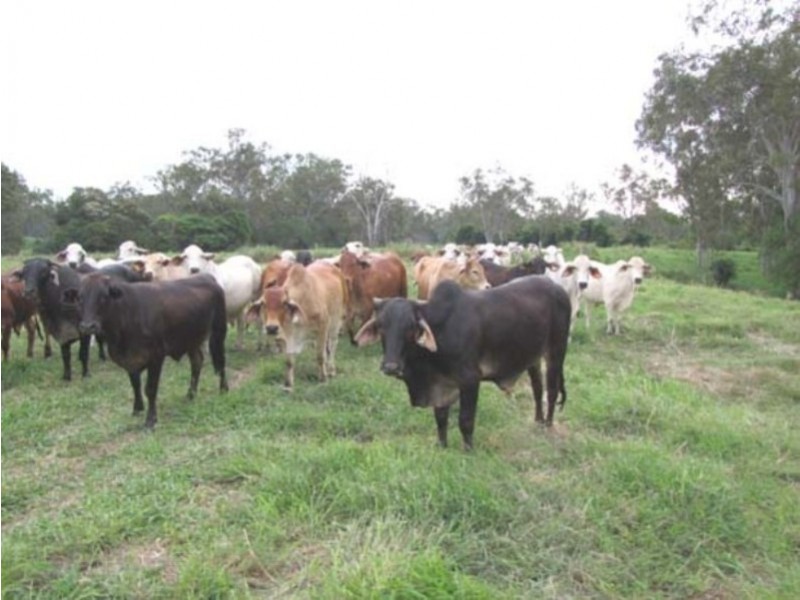 00 Raglan Station Road, Raglan QLD 4697