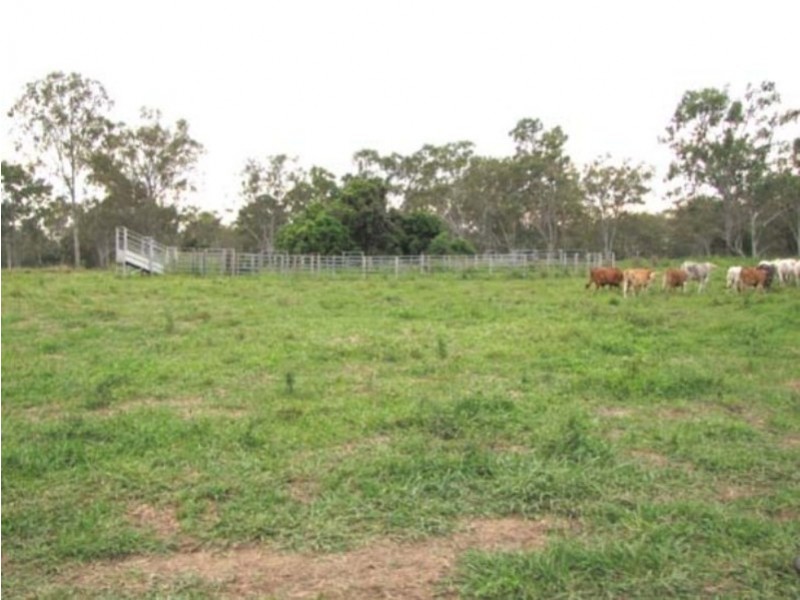 00 Raglan Station Road, Raglan QLD 4697