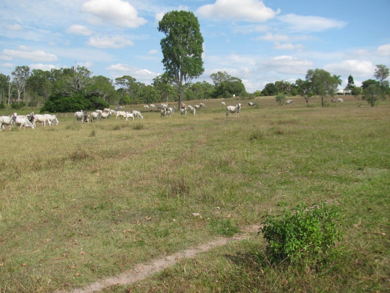 Lot 21 Bruce Highway, Miriam Vale QLD 4677