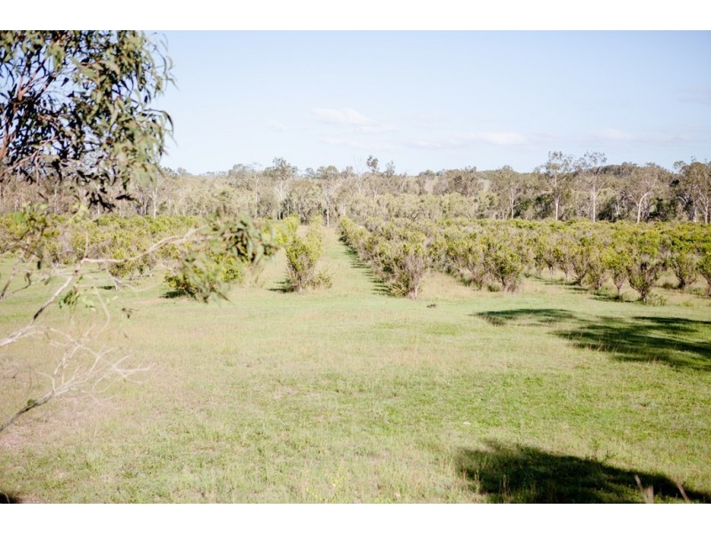 478 Racecourse Road, Calliope QLD 4680