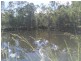 238 Ferguson Road, Calliope QLD 4680