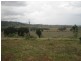 1064 East End Road, Mount Larcom QLD 4695