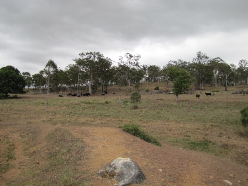 1064 East End Road, Mount Larcom QLD 4695
