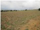 1064 East End Road, Mount Larcom QLD 4695
