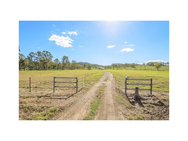 431 The Narrows Road, Mount Larcom QLD 4695