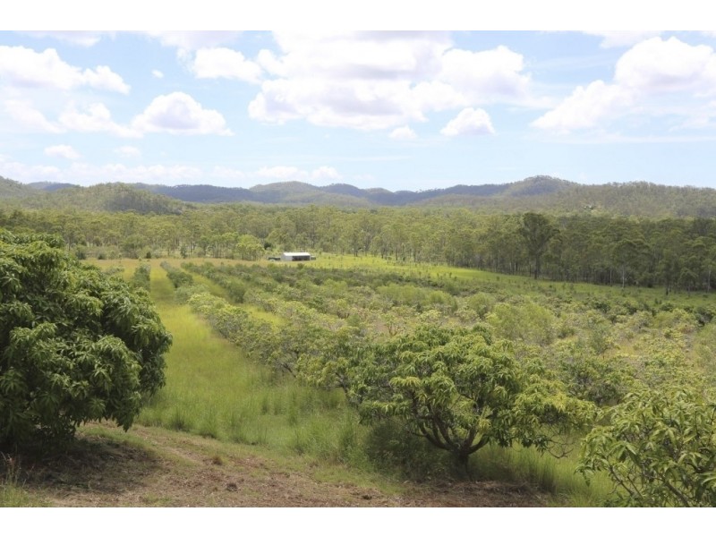 501 Calliope River Road, Calliope QLD 4680