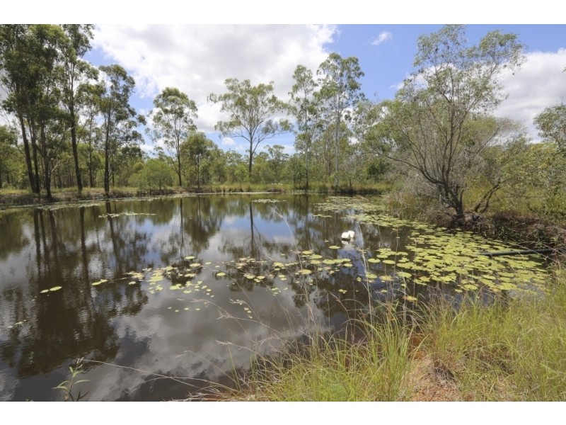 501 Calliope River Road, Calliope QLD 4680