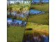 000 Off Marsh Road, Calliope QLD 4680