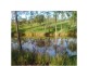 000 Off Marsh Road, Calliope QLD 4680