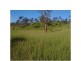 000 Off Marsh Road, Calliope QLD 4680