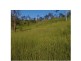 000 Off Marsh Road, Calliope QLD 4680