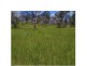 000 Off Marsh Road, Calliope QLD 4680