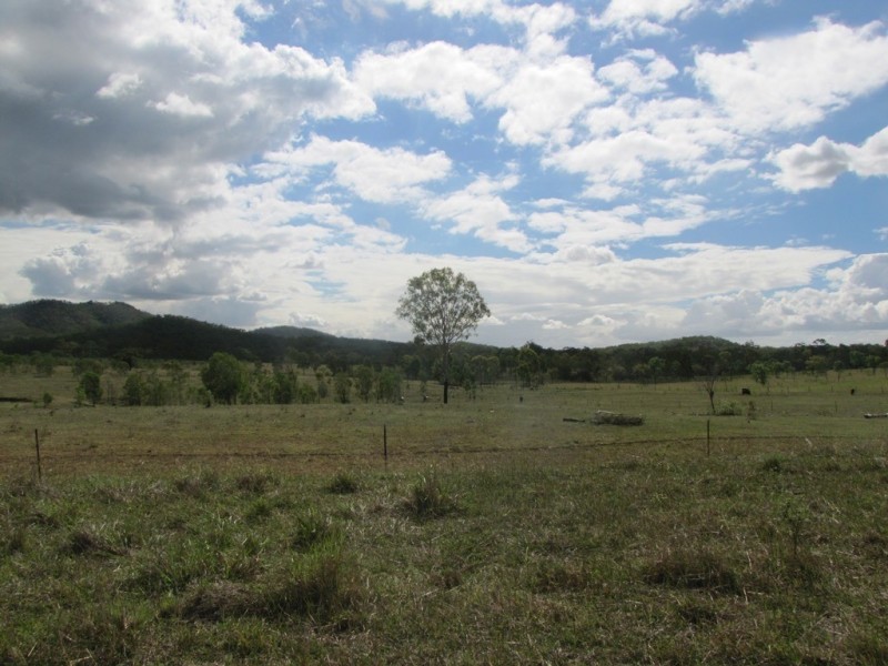 523 The Narrows Road, Mount Larcom QLD 4695