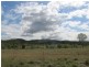 523 The Narrows Road, Mount Larcom QLD 4695