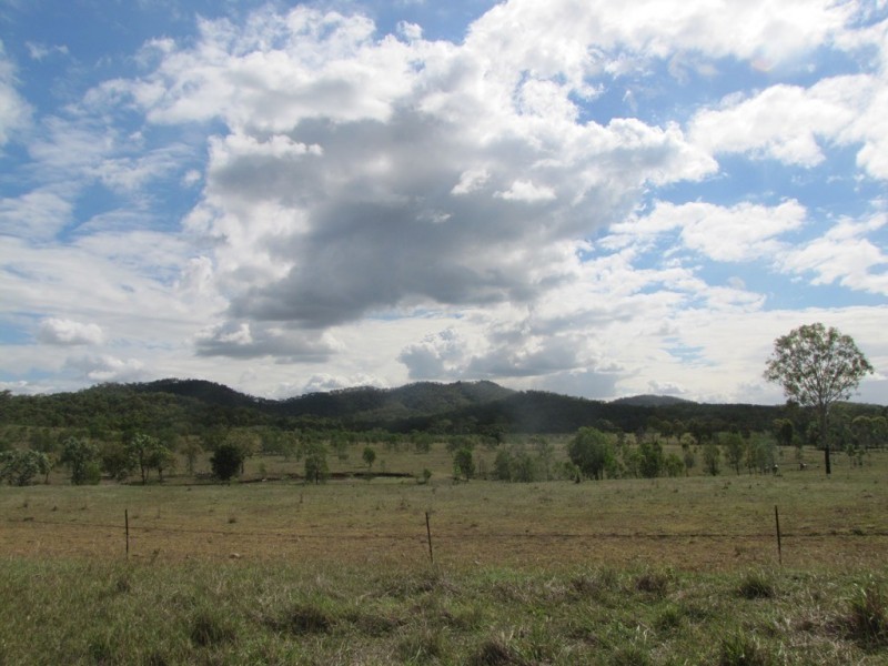 523 The Narrows Road, Mount Larcom QLD 4695