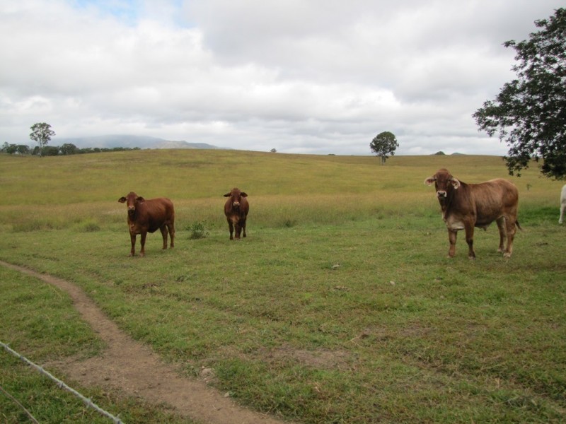 Boyne Valley QLD 4680