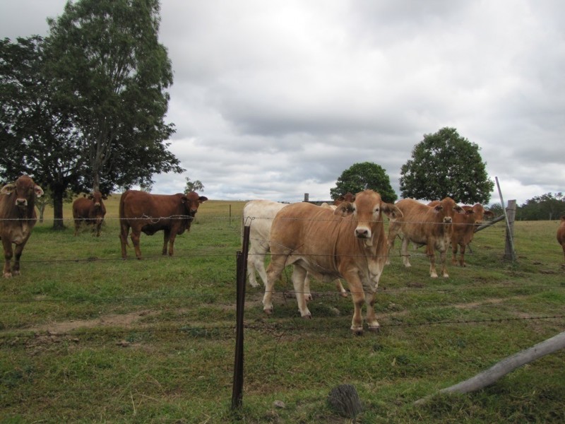 Boyne Valley QLD 4680