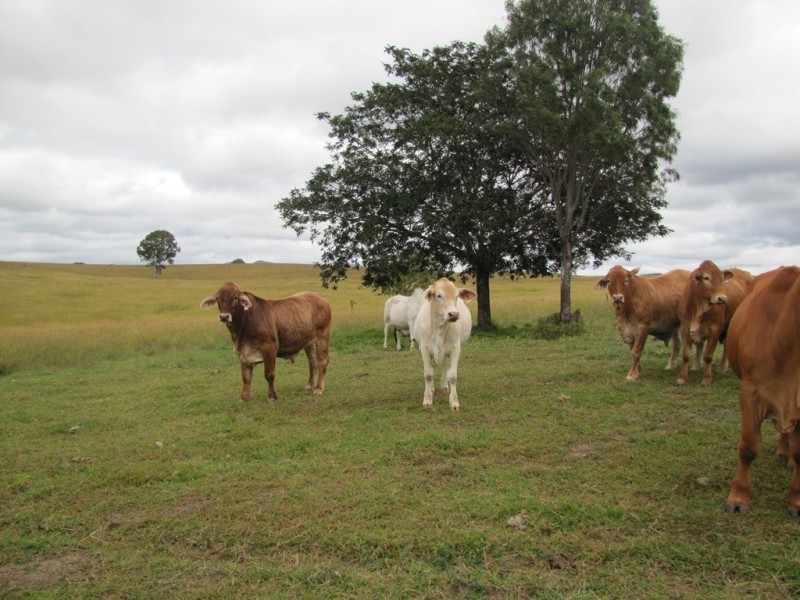 Boyne Valley QLD 4680