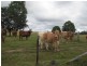 Calliope QLD 4680