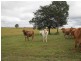 Calliope QLD 4680