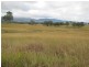 Calliope QLD 4680