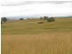Calliope QLD 4680