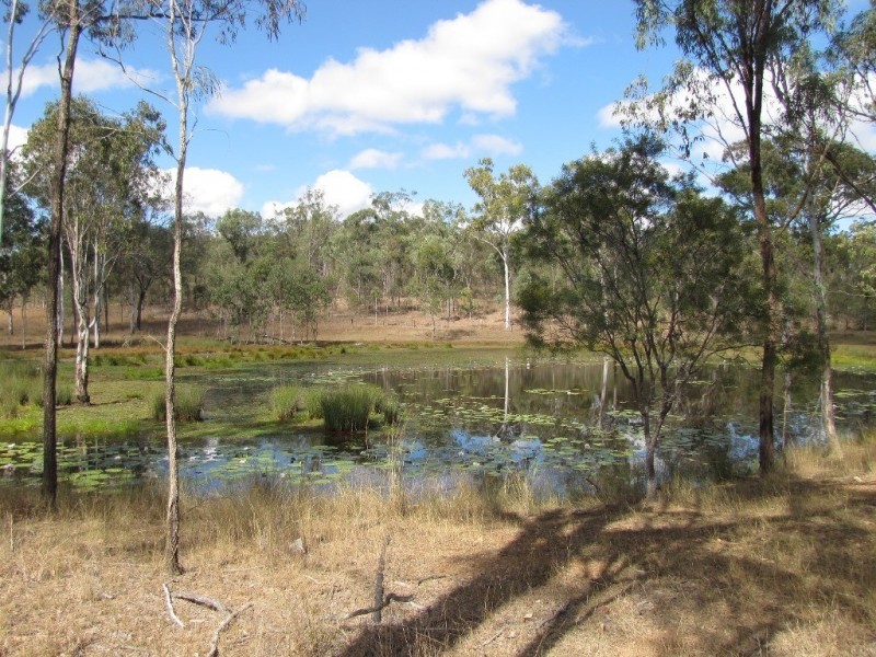 355 Stowe Road, Calliope QLD 4680