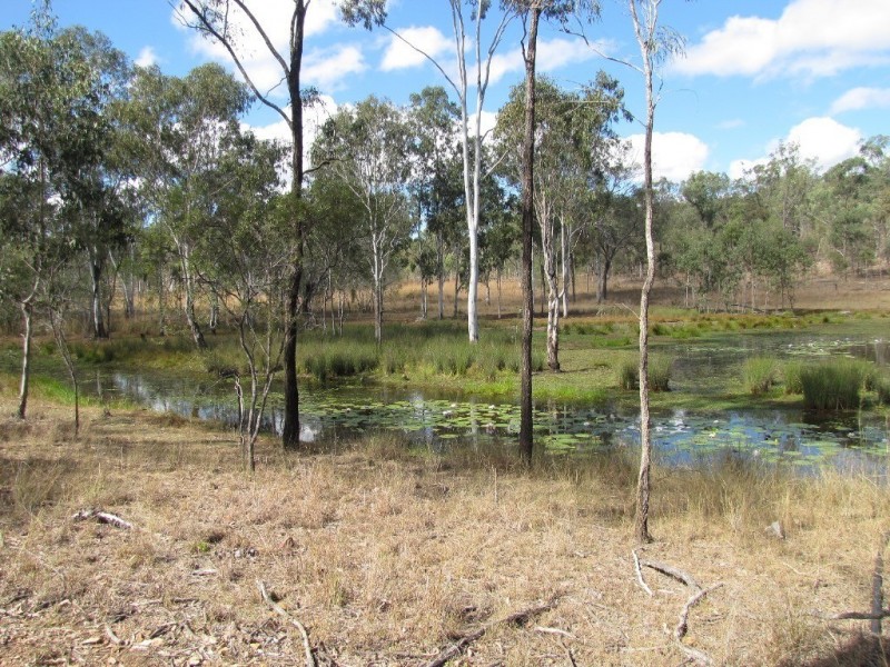 355 Stowe Road, Calliope QLD 4680