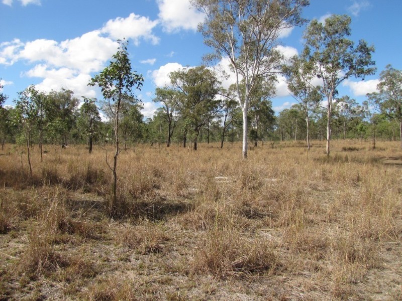 355 Stowe Road, Calliope QLD 4680