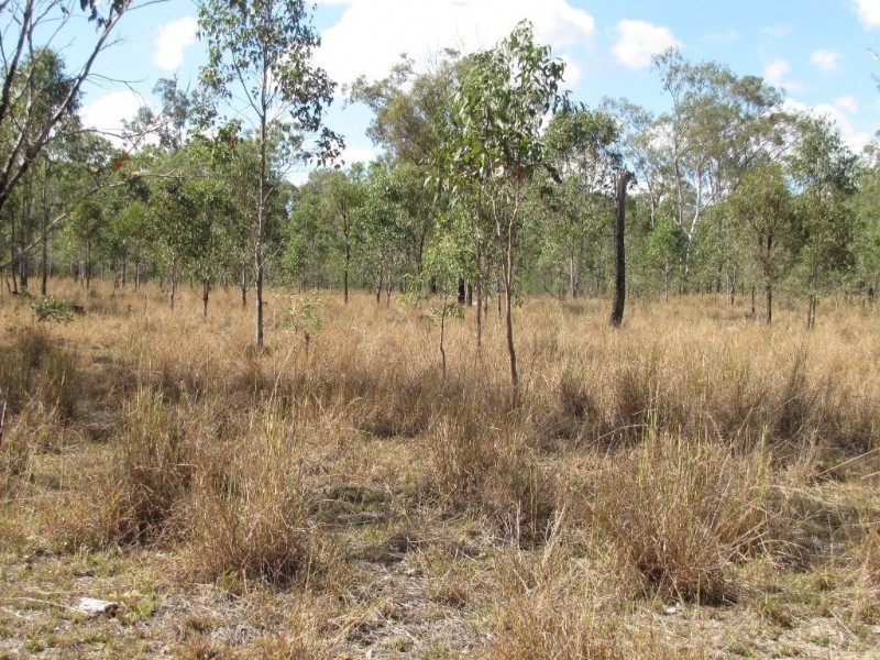 355 Stowe Road, Calliope QLD 4680