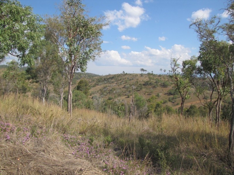 553 Marsh Road, Diglum QLD 4680