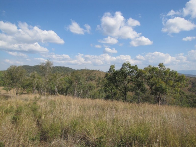 553 Marsh Road, Calliope QLD 4680