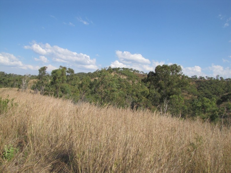 553 Marsh Road, Calliope QLD 4680