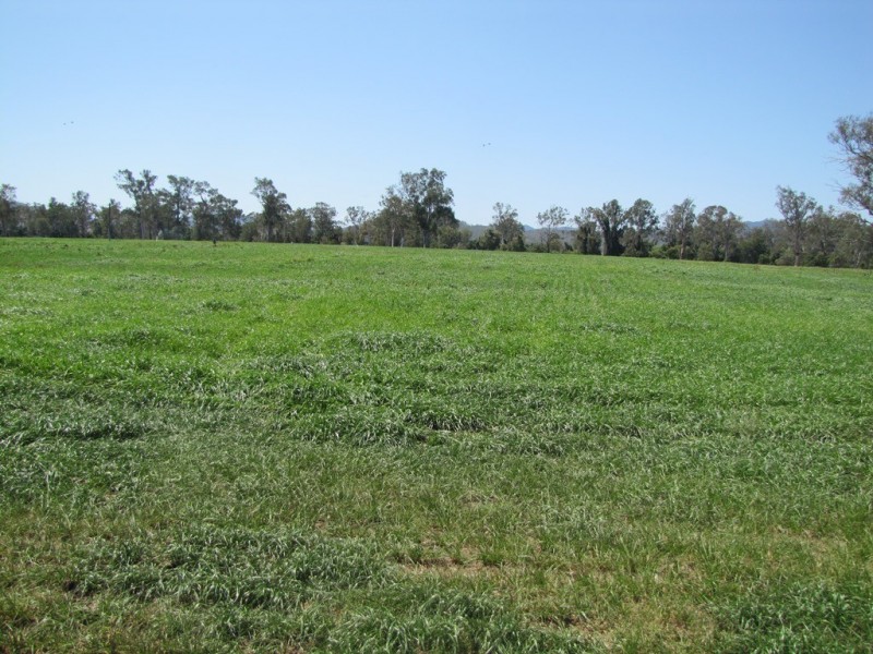 3765 Gladstone – Monto Road, Boyne Valley QLD 4680