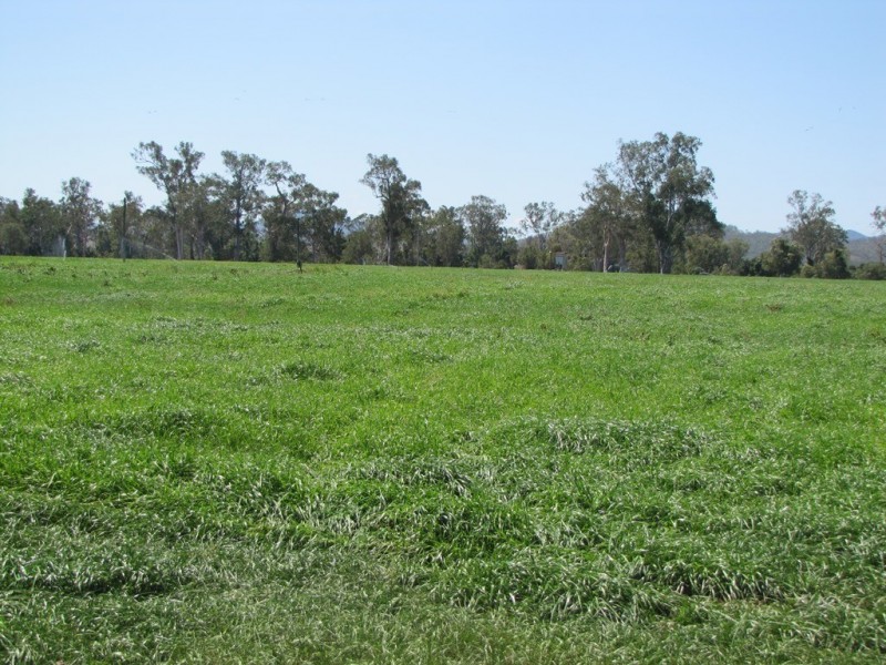 3765 Gladstone – Monto Road, Boyne Valley QLD 4680